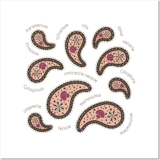 Paramecia Paisley Posters and Art